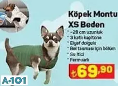 KÖPEK MONTU KÖPEK MONTU